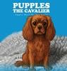 Pupples the Cavalier - Deborah C Zourdos - 9798349567681