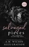 Salvaged Pieces - A. M. Wilson - 9798351588704