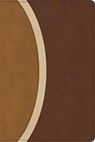 CSB Rainbow Study Bible, Brown Leathertouch (Limited Edition) - Csb Bibles by Holman - 9798384534211