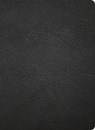 NASB Study Bible, Black Genuine Leather - Holman Bible Publishers - 9798384540335