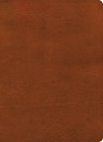 NASB Study Bible, Burnt Sienna Leathertouch - Holman Bible Publishers - 9798384540359
