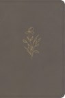 KJV Large Print Compact Reference Bible, Clay Leathertouch - Holman Bible Publishers - 9798384546122
