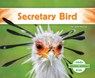 Secretary Bird - Julie Murray - 9798384903079