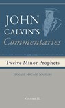 Commentaries on the Twelve Minor Prophets, Volume 3 - John Calvin - 9798385216161