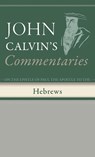 Commentaries on the Epistle of Paul the Apostle to the Hebrews - John Calvin - 9798385216642