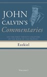 Commentaries on the First Twenty Chapters of the Book of the Prophet Ezekiel, Volume 1 - John Calvin - 9798385216857
