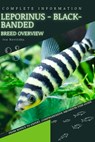 Leporinus - Black-banded: From Novice to Expert. Comprehensive Aquarium Fish Guide - Iva Novitsky - 9798398787566