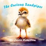 The Curious Sandpiper - Jason Hamilton - 9798399271613