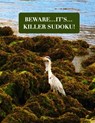 Beware...It's...Killer Sudoku!: Killer Sudoku Book, logic puzzle books for adults, 8.5in x 11in, 64 puzzles, Paperback. - Michael O'Connell - 9798572713015