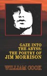 Gaze Into the Abyss - William Cook - 9798674223658