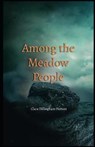 Among the Meadow People Illustrated - DILLINGHAM PIERSON,  Clara - 9798701662719