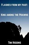 Flashes From My Past - HIGGINS,  Tim - 9798724346535