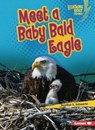 Meet a Baby Bald Eagle - Heather E. Schwartz - 9798765603208