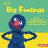 Big Feelings: Learn Healthy Ways to Manage Emotions with Sesame Street (R) - Whitney Sanderson - 9798765643716