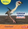 Terror Birds: A First Look - Hannah Gramson - 9798765684719