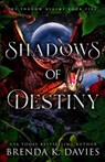 Shadows of Destiny - Brenda K. Davies - 9798842680887