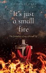 It's just a small fire: The formation of my spiritual life - Moises Flores - 9798868512339