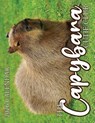 The Capybara Cutie Club 2026 Calendar - B. Patrick - 9798869034571
