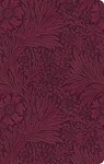 ESV Large Print Value Thinline Bible - Esv Bibles - 9798874907730