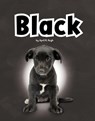 Black - April R. Hugh - 9798875271267