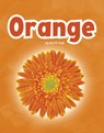 Orange - April R. Hugh - 9798875271588