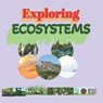 Exploring Ecosystems: for kids 8 to 12 years Producers Herbivores carnivores Decomposers Types of Ecosystems Ocean Food Chain food chain food web - Esmart Chubs - 9798877864252