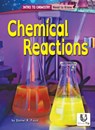 Chemical Reactions - Daniel R. Faust - 9798885095464