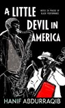 LITTLE DEVIL IN AMER -LP - Hanif Abdurraqib - 9798885780292
