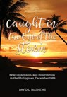 Caught in the Eye of the Storm: Fear, Dissension, and Insurrection in the Philippines, December 1989 - David L. Mathews - 9798886040142
