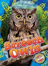 Screech Owls - Rachael Barnes - 9798886879803