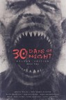 30 Days of Night Deluxe Edition: Book Two - Steve Niles ; Matt Fraction - 9798887241050