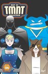 Best of Teenage Mutant Ninja Turtles Collection, Vol. 6 - Kevin Eastman ; Tom Waltz - 9798887243504