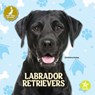 Labrador Retrievers - Christina Earley - 9798887359823