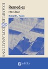 Examples & Explanations for Remedies - Richard L. Hasen - 9798889066330