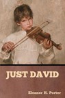 Just David - Eleanor H Porter - 9798889420804