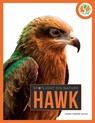 Hawk - Laura Purdie Salas - 9798889891932