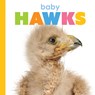 Baby Hawks - Meg Greve - 9798889892076
