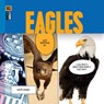 Eagles - Kate Riggs - 9798889892175