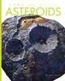 Asteroids - Matt Lilley - 9798889892311