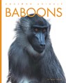 Baboons - Mari Bolte - 9798889892403