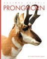 Pronghorn - Christopher Bahn - 9798889892465