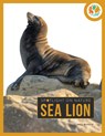 Sea Lion - Nell Musolf - 9798889896272