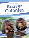 Beaver Colonies - Laura Perdew - 9798889981893