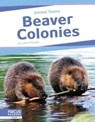 Beaver Colonies - Laura Perdew - 9798889982456