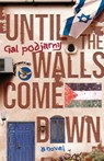 Until the Walls Come Down - Gal Podjarny - 9798891326958