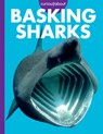 Curious about Basking Sharks - Monika Davies - 9798892005555