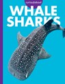 Curious about Whale Sharks - Monika Davies - 9798892005623
