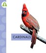 Cardinals - Anastasia Suen - 9798892008303