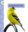 Goldfinches - Anastasia Suen - 9798892008327