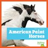 American Paint Horses - Rachel Grack - 9798892139397